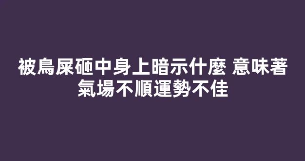 被鳥屎砸中身上暗示什麼 意味著氣場不順運勢不佳